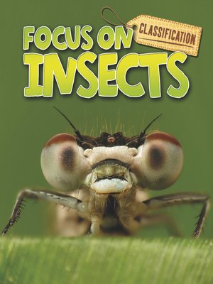 cover image of Classification Focus on Insects